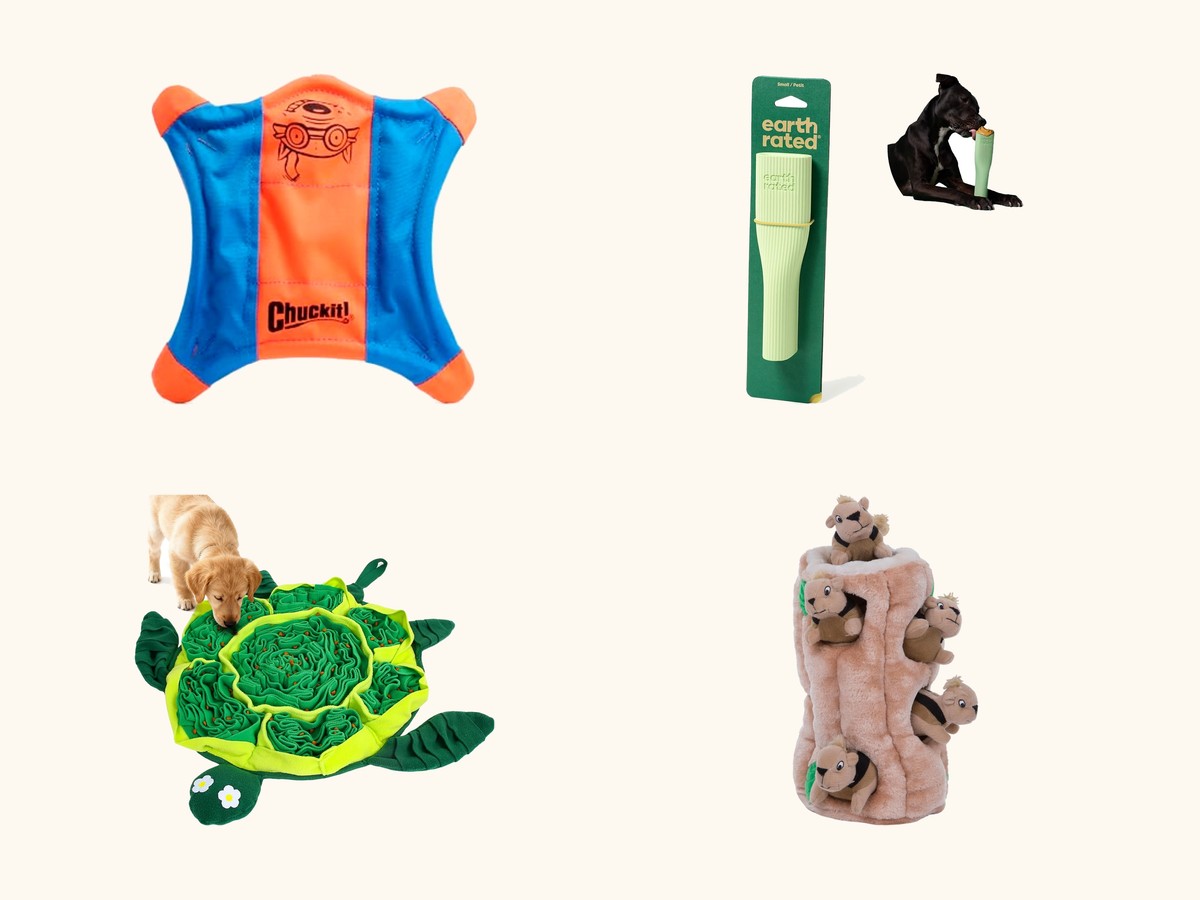 Dog enrichment toys and treats collage