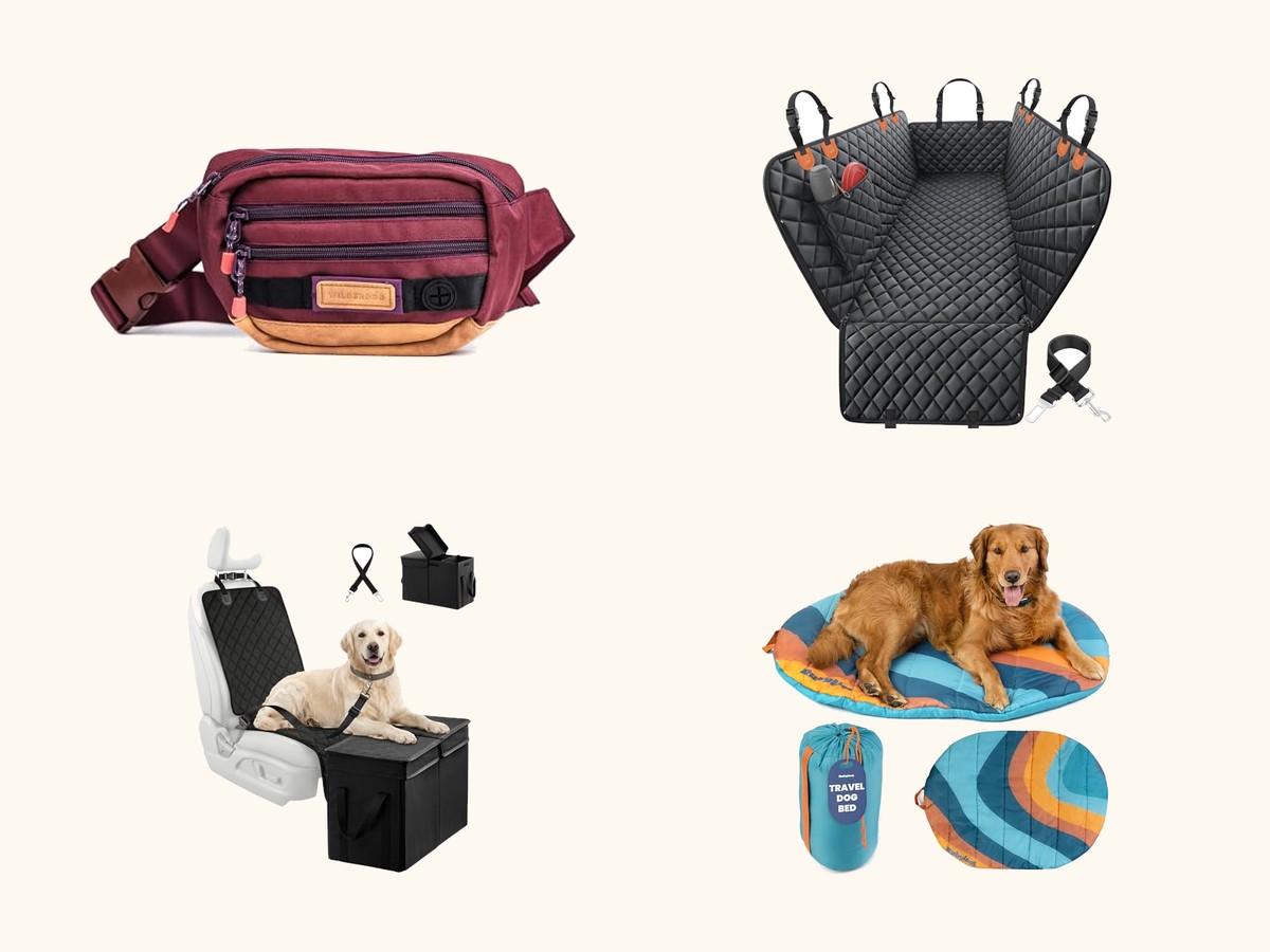 Dog travel essentials collage