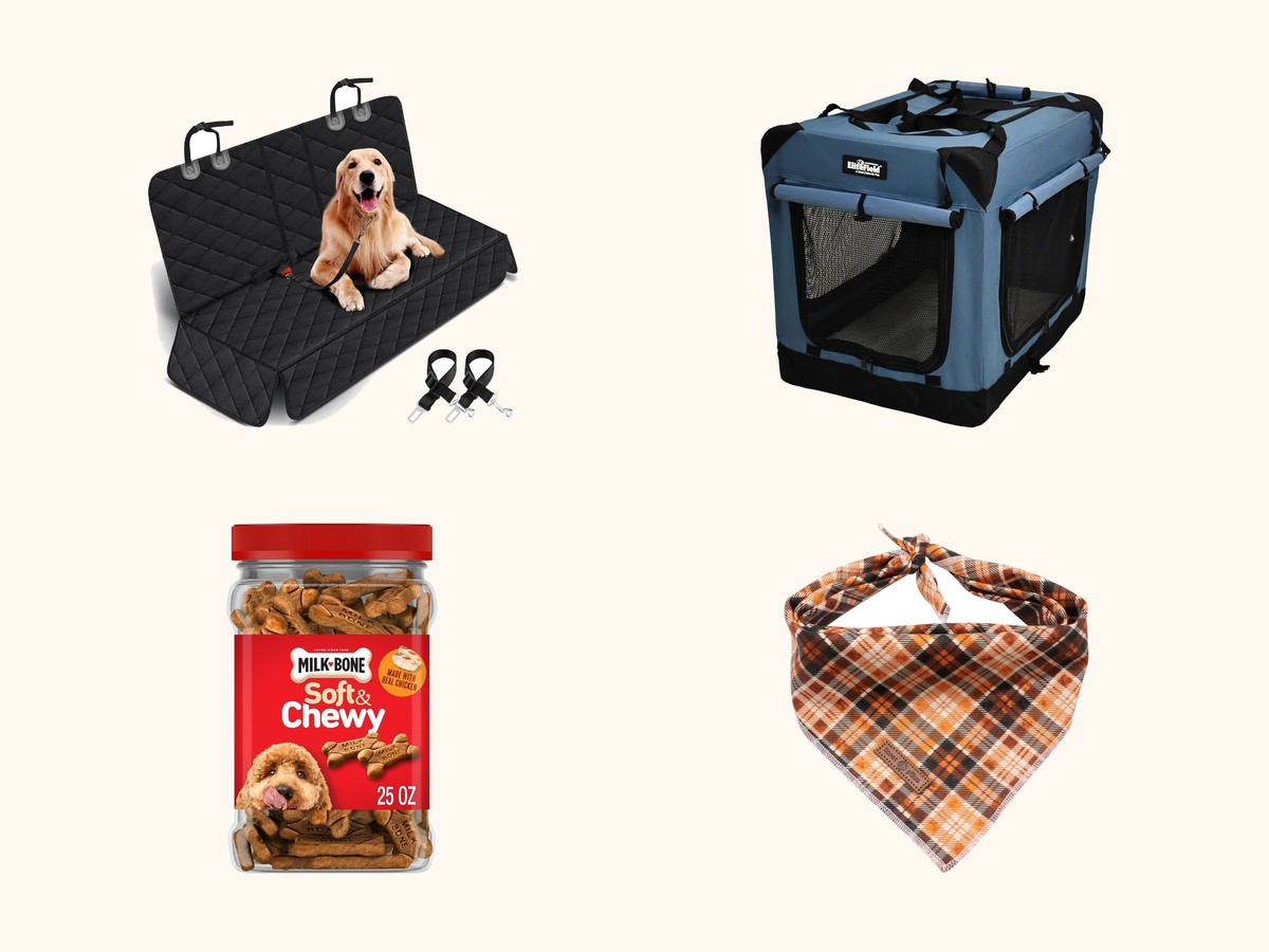 Everything your dog actually needs collage
