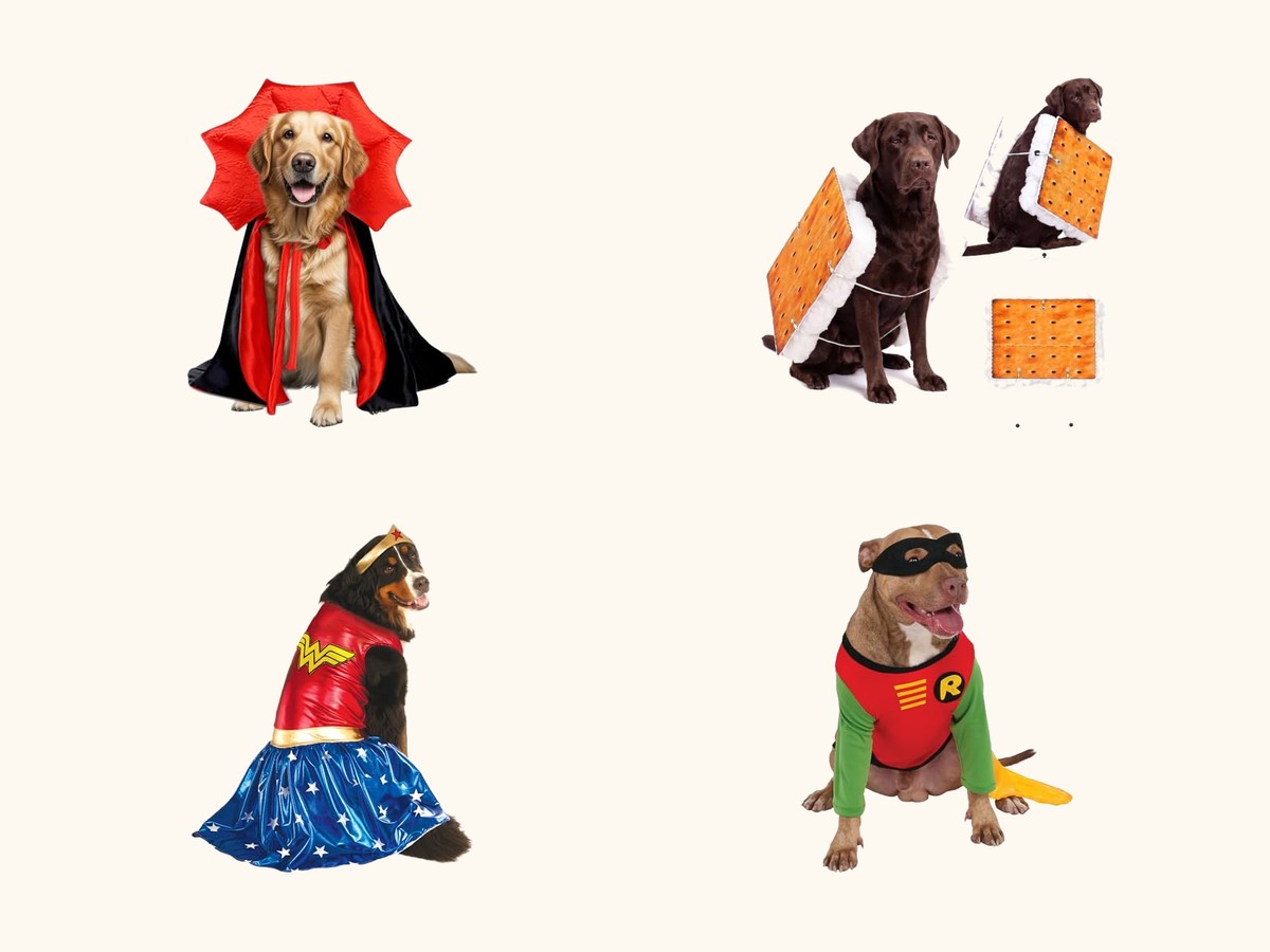 Halloween costumes for medium and large dogs collage