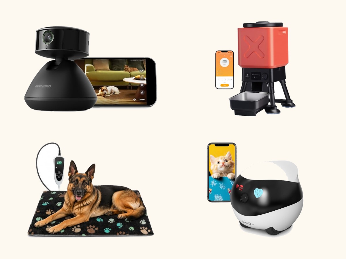 Smart dog tech collage