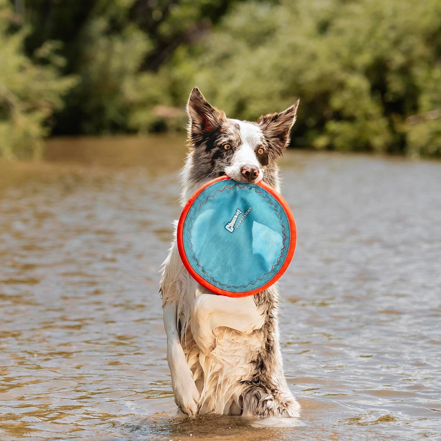 Long-Distance Flying Disc That's Gentle on Teeth