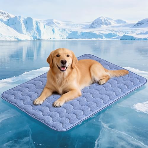 Blue double-sided gel cooling mat for large dogs