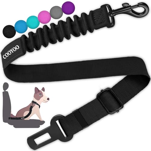 Black retractable elastic dog seat belt tether with a metal buckle clip