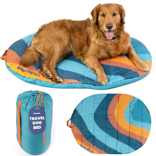 Teal foldable packable travel dog bed with a matching carry bag