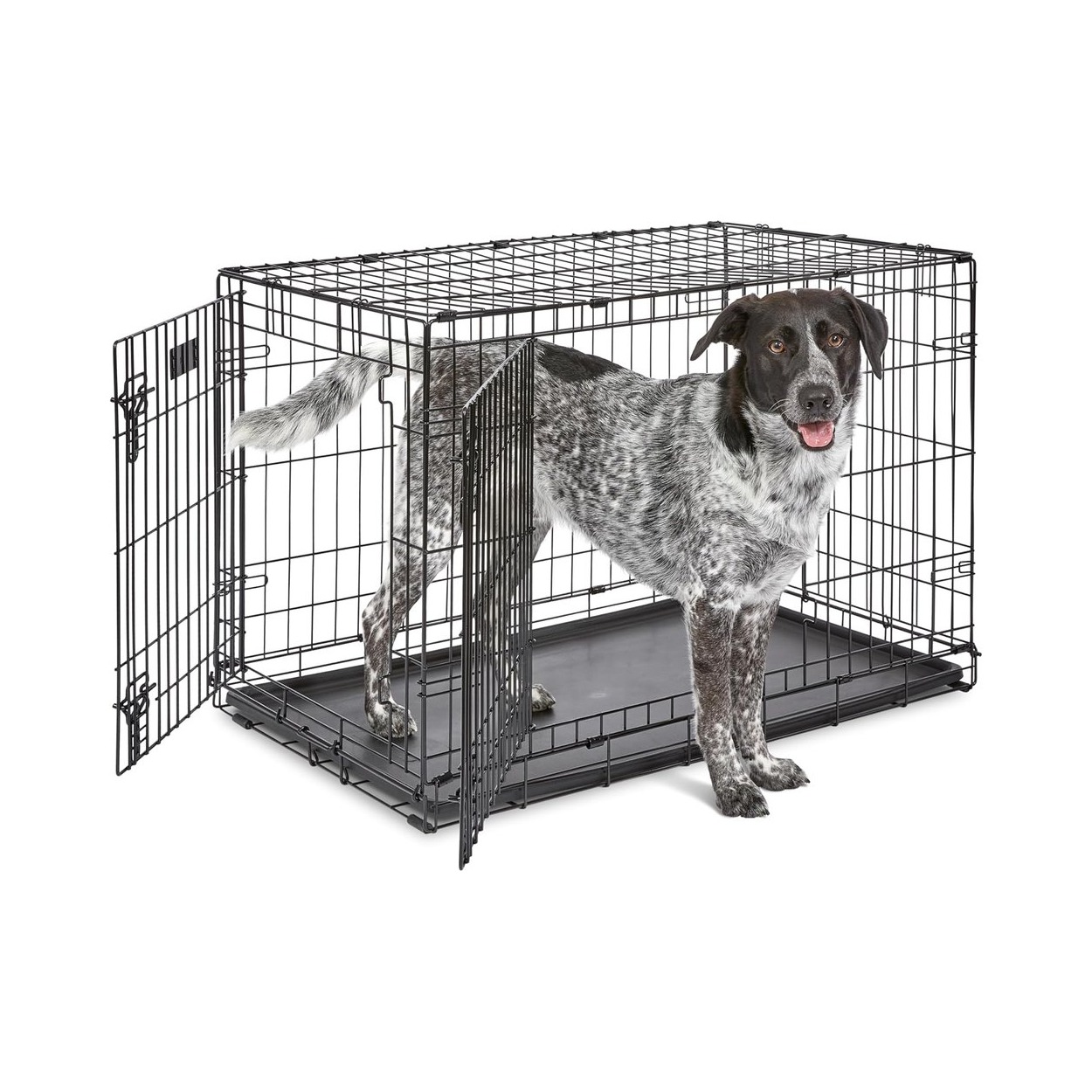 Two-Door Folding Wire Crate with Adjustable Divider