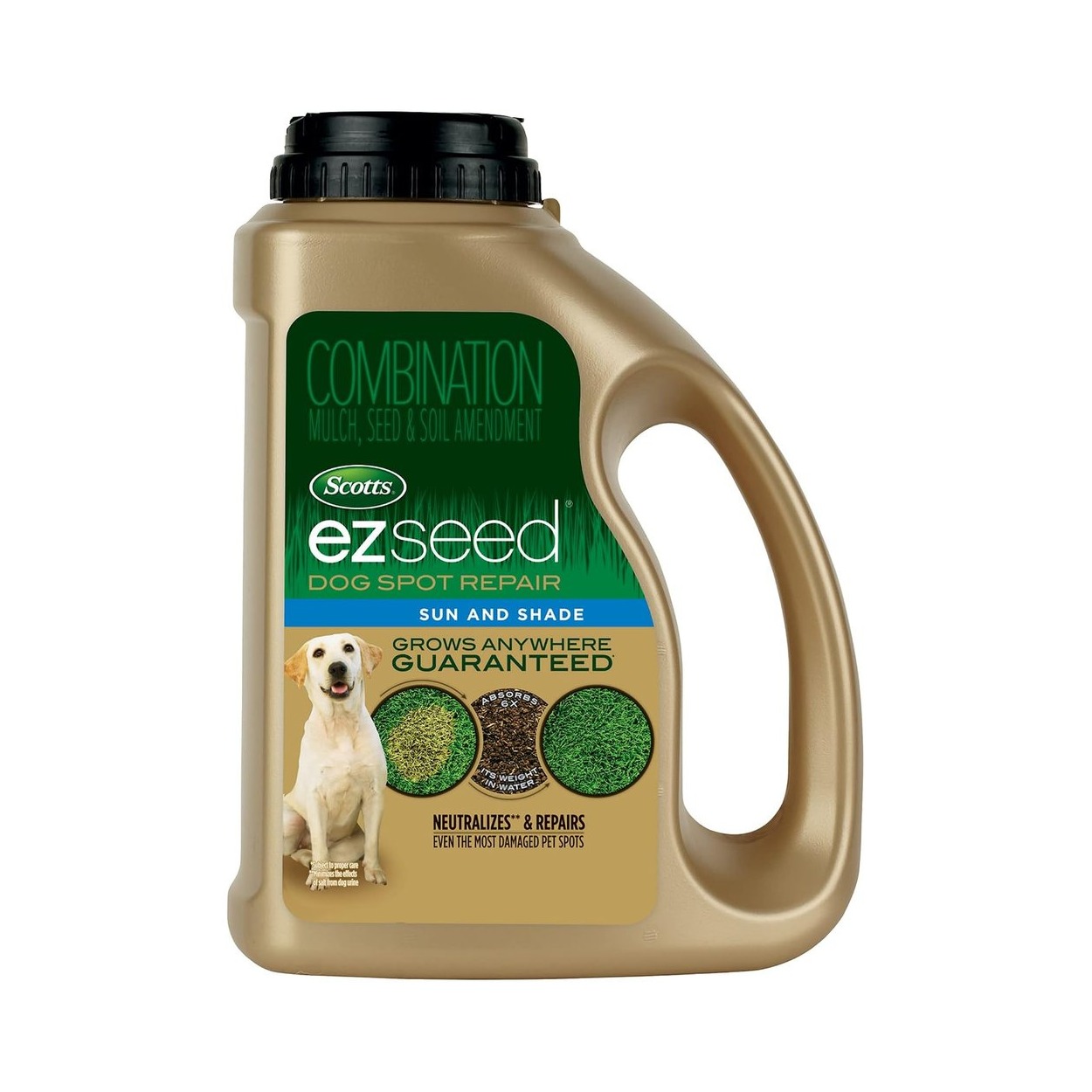 Grass Seed Mix for Repairing Dog Spot Damage
