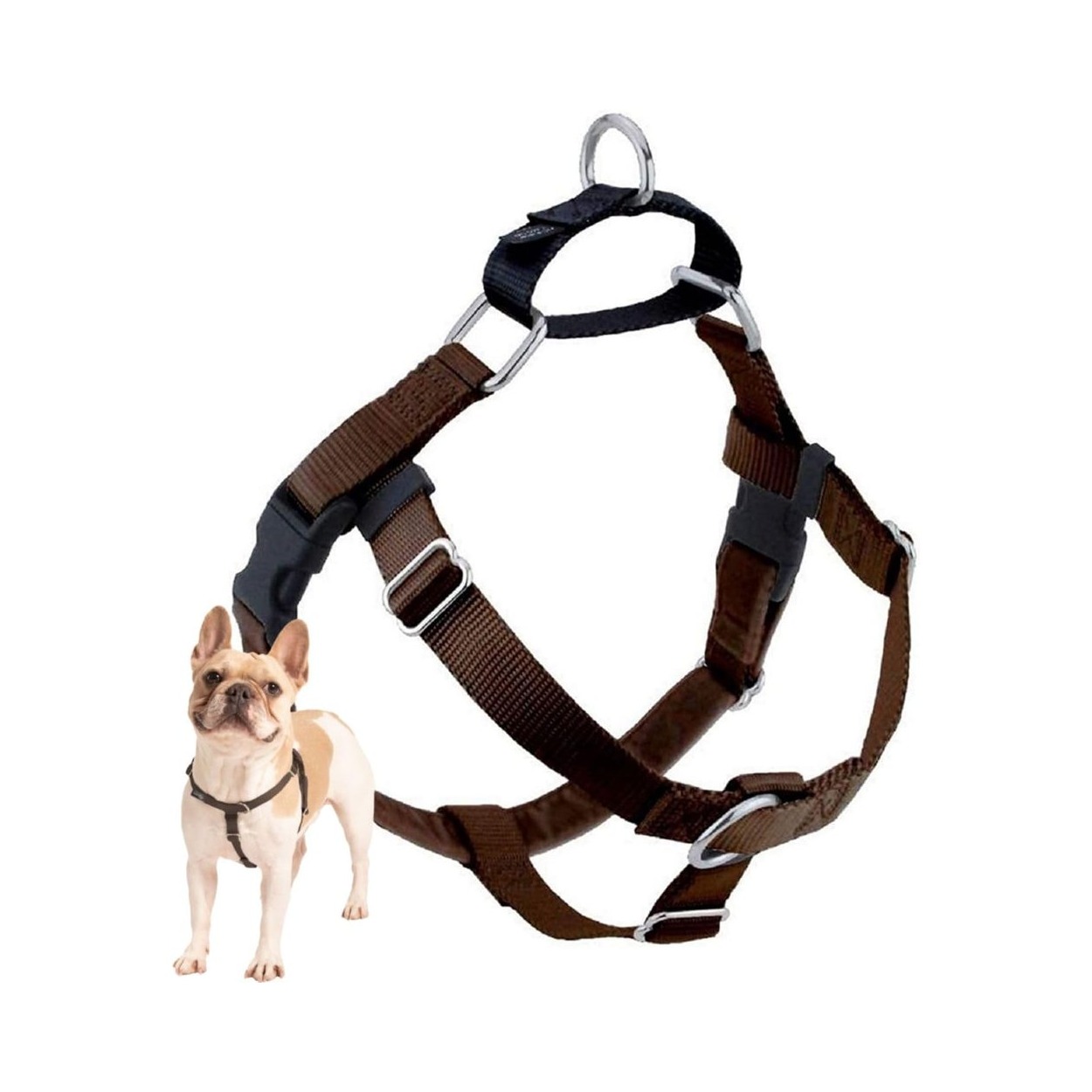No-Pull Harness With Easy Step-In Design