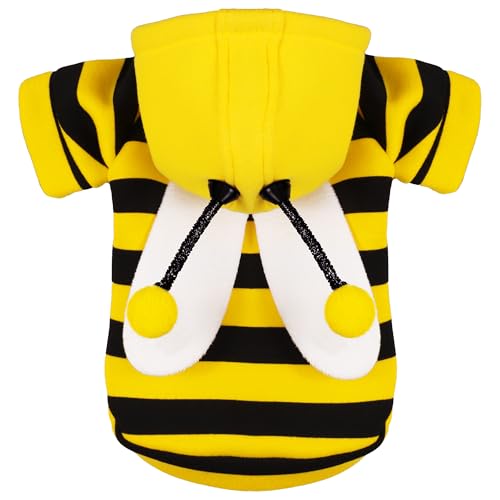 Dog wearing a black and yellow striped bee hoodie with attached wings