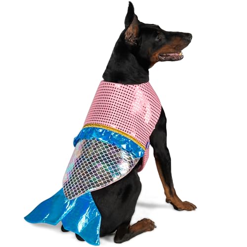 Large dog wearing a sequined mermaid tail costume in teal and purple
