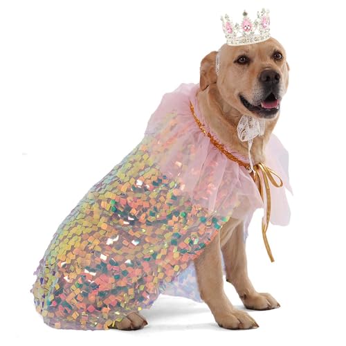 Dog wearing a sheer mesh princess cape with a rhinestone crown