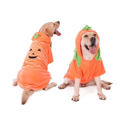 Large dog in an orange fleece pumpkin costume with a jack-o-lantern face
