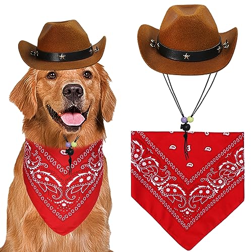 Dog wearing a brown cowboy hat with a red bandana