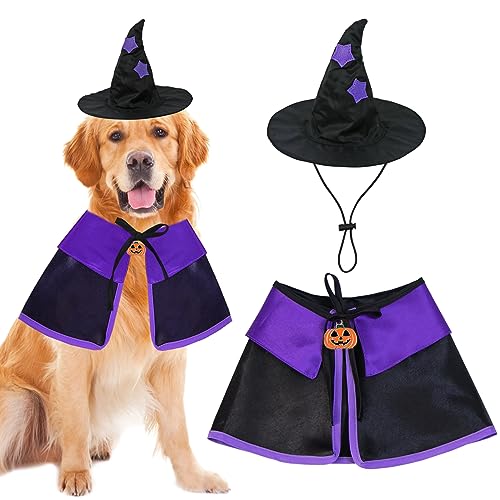 Dog wearing a black witch cloak with a matching pointed hat