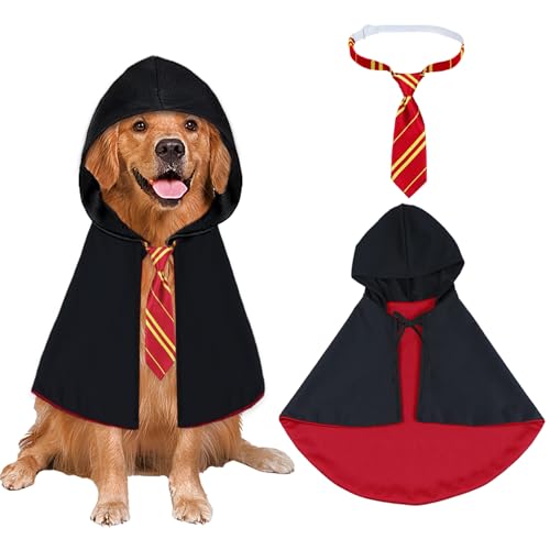 Dog wearing a red star-print wizard cloak that ties at the neck