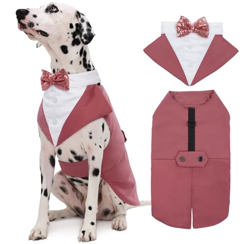 Dog wearing a pink formal tuxedo jacket with a detachable bowtie collar