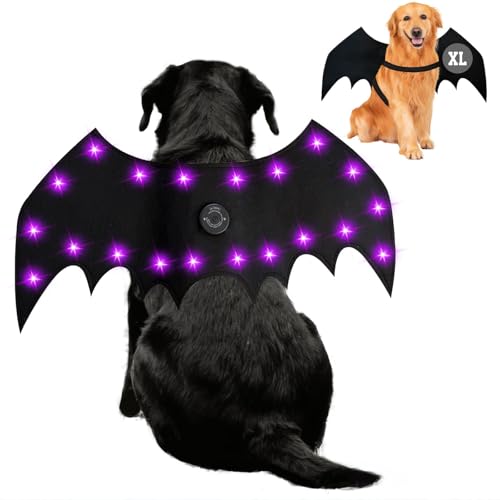 Dog wearing black bat wings lit with small LED lights