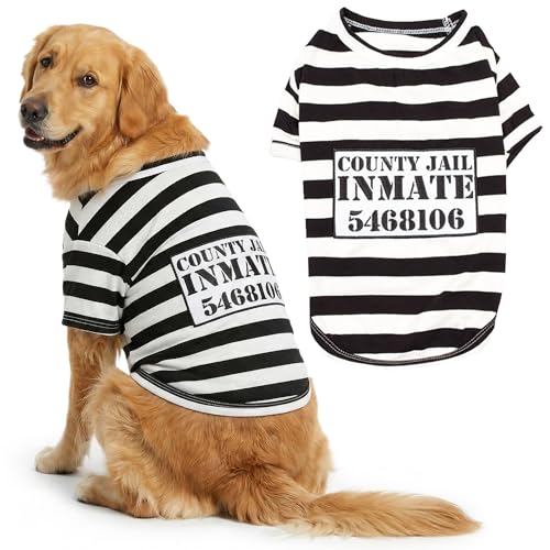 Dog wearing a black and white striped prisoner shirt costume