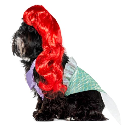 Dog wearing a purple and green Little Mermaid costume with a red wig
