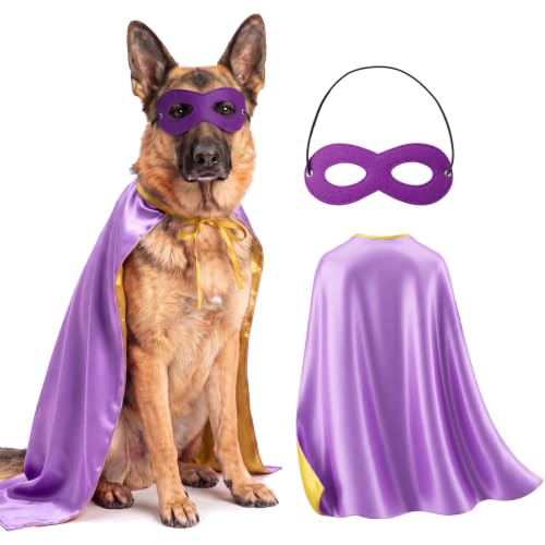 Dog wearing a purple and yellow reversible satin cape with a felt eye mask