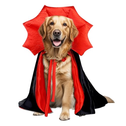 Large dog wearing a black vampire cape with a high red collar