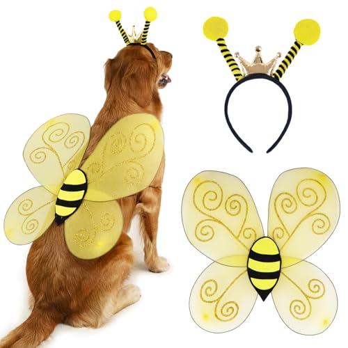Dog wearing a bee antennae headband with a yellow and black wing harness
