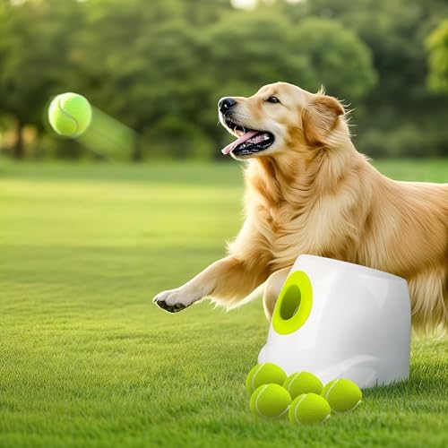ALL FOR PAWS automatic dog ball launcher with tennis balls on grass