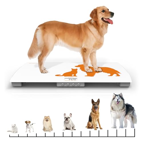 Digital veterinary scale for dogs with wide tempered glass platform