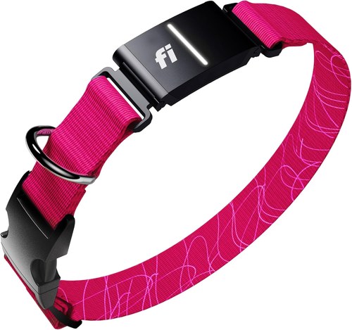 Hot pink Fi Series 3+ dog collar with a black GPS tracking module and patterned strap